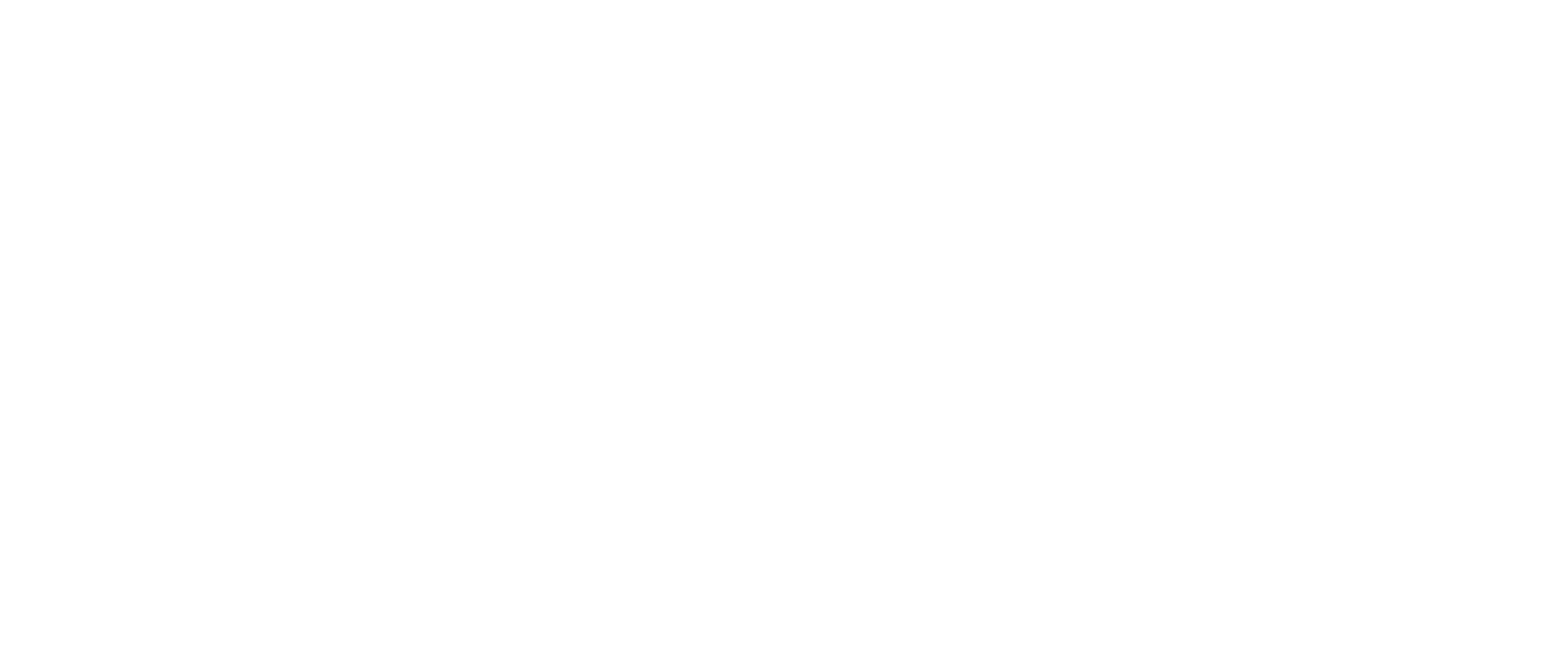 Metallon Fusion Solutions